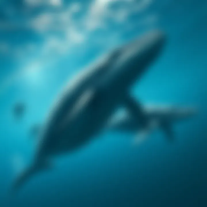 A group of ancient whale species swimming in today's ocean, showcasing their size and grace. The scene emphasizes their role in marine biodiversity and ecology.