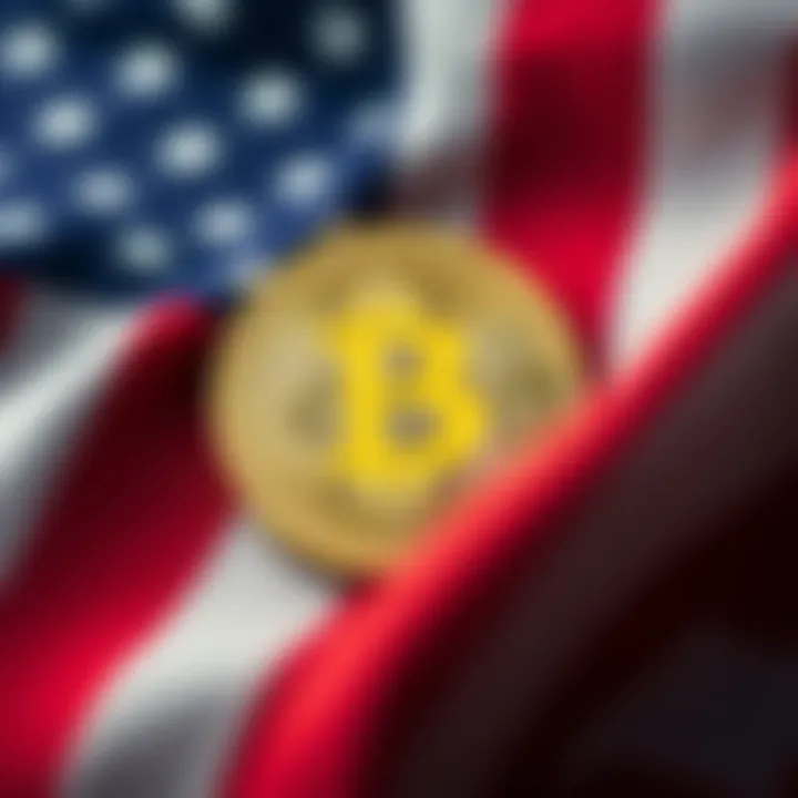 Bitcoin symbol against a backdrop of the US flag, representing stability amid government shutdown