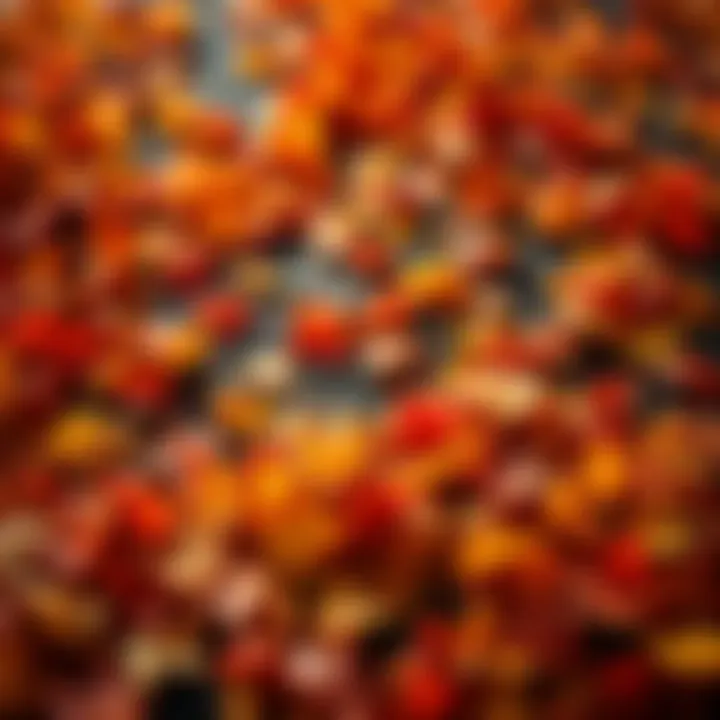Vibrant autumn leaves in shades of orange and yellow scattered on the ground, symbolizing the excitement of October