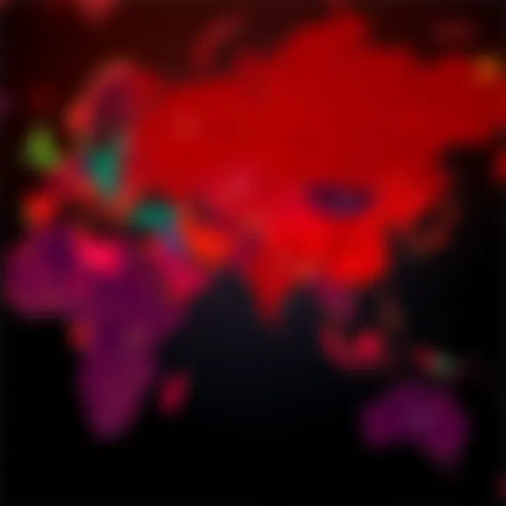 Map highlighting countries with no withdrawal fees for USDC on Solana