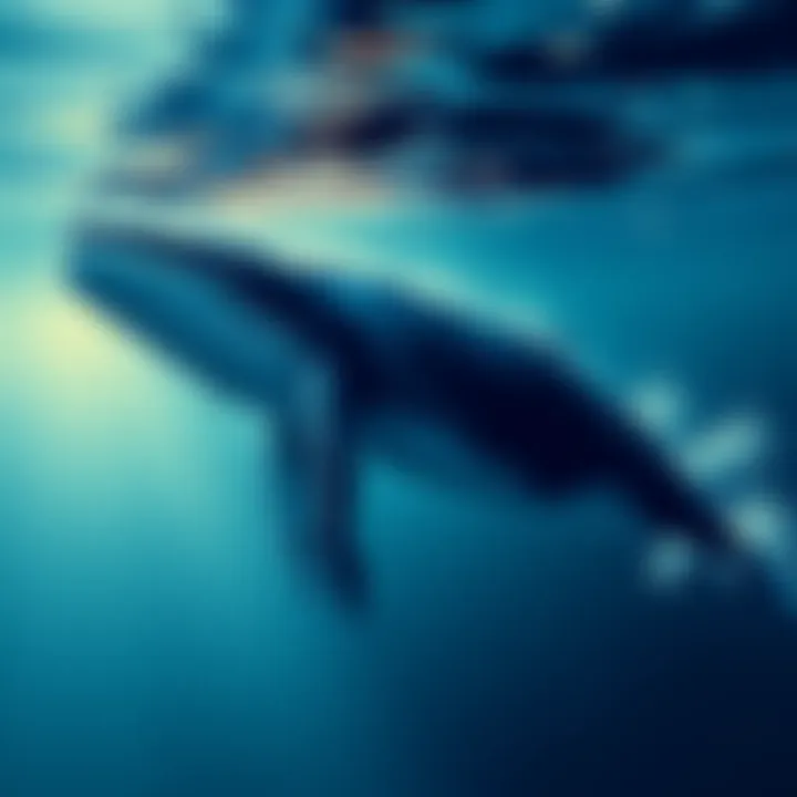 A large whale swimming in the ocean with a dollar sign symbol to represent donations instead of selling.